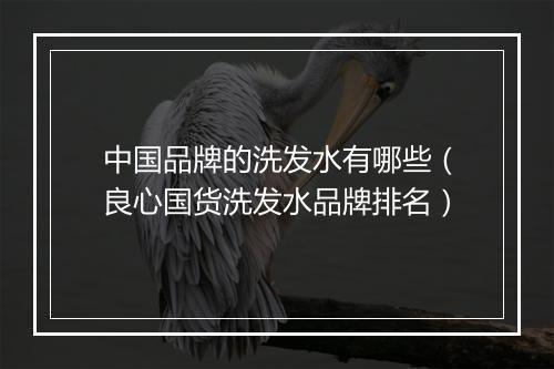 中国品牌的洗发水有哪些（良心国货洗发水品牌排名）