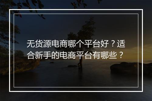 无货源电商哪个平台好？适合新手的电商平台有哪些？