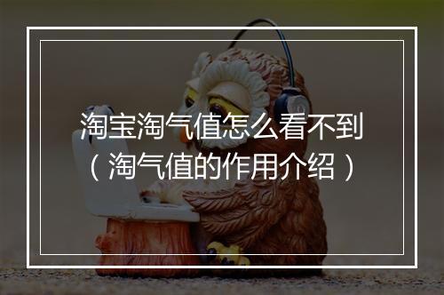 淘宝淘气值怎么看不到（淘气值的作用介绍）