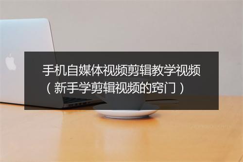手机自媒体视频剪辑教学视频（新手学剪辑视频的窍门）