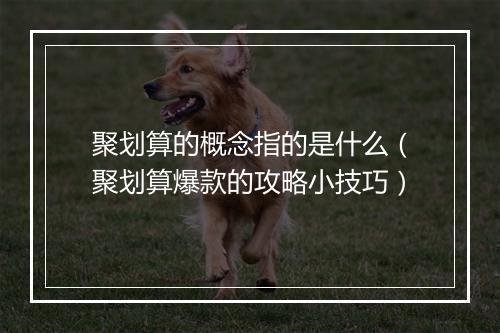 聚划算的概念指的是什么（聚划算爆款的攻略小技巧）