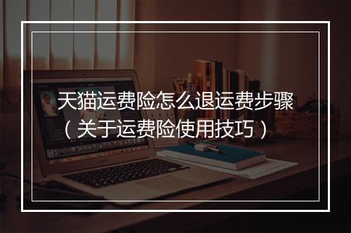 天猫运费险怎么退运费步骤（关于运费险使用技巧）