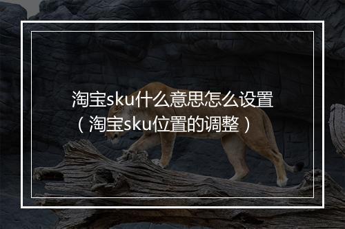 淘宝sku什么意思怎么设置（淘宝sku位置的调整）