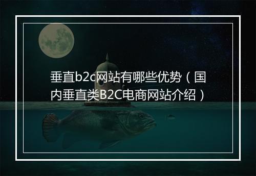 垂直b2c网站有哪些优势（国内垂直类B2C电商网站介绍）
