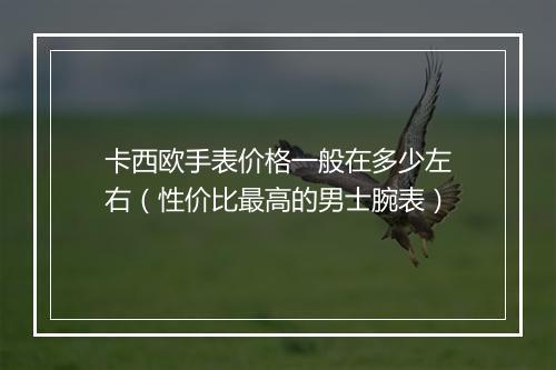 卡西欧手表价格一般在多少左右（性价比最高的男士腕表）