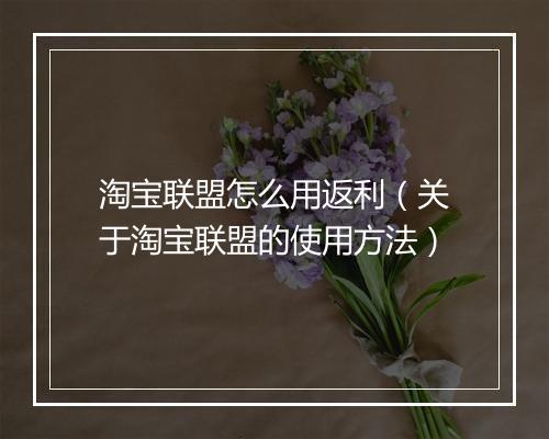 淘宝联盟怎么用返利（关于淘宝联盟的使用方法）