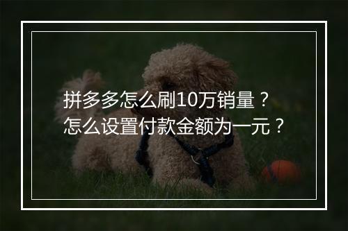 拼多多怎么刷10万销量？怎么设置付款金额为一元？