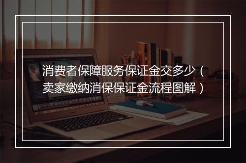 消费者保障服务保证金交多少（卖家缴纳消保保证金流程图解）