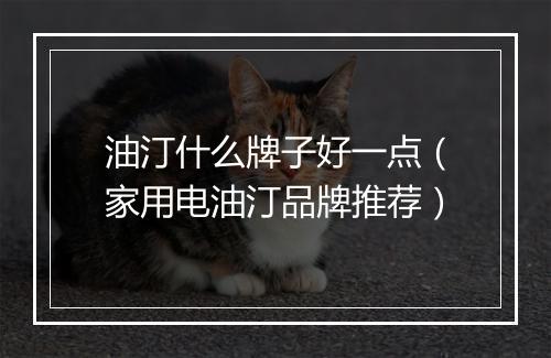 油汀什么牌子好一点（家用电油汀品牌推荐）