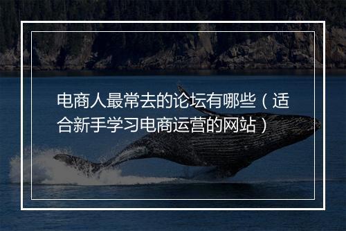电商人最常去的论坛有哪些（适合新手学习电商运营的网站）