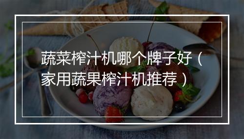 蔬菜榨汁机哪个牌子好（家用蔬果榨汁机推荐）