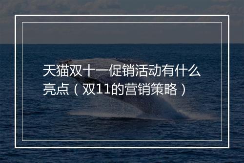 天猫双十一促销活动有什么亮点（双11的营销策略）