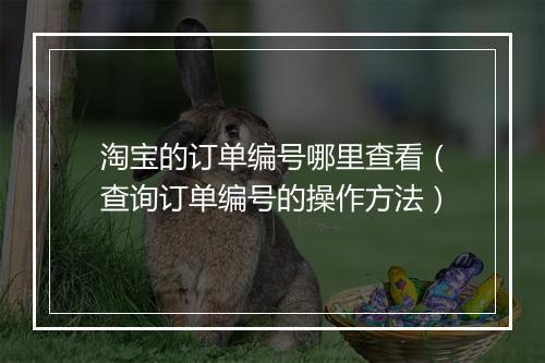 淘宝的订单编号哪里查看（查询订单编号的操作方法）