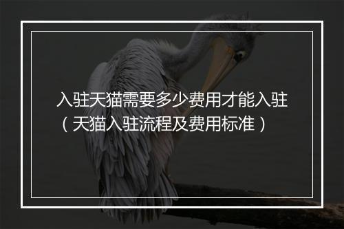 入驻天猫需要多少费用才能入驻（天猫入驻流程及费用标准）