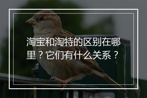 淘宝和淘特的区别在哪里？它们有什么关系？