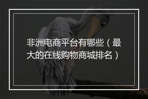非洲电商平台有哪些（最大的在线购物商城排名）