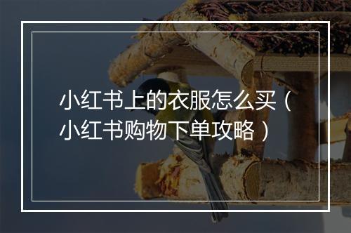 小红书上的衣服怎么买（小红书购物下单攻略）