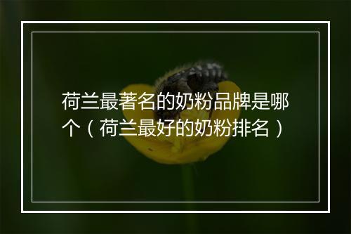 荷兰最著名的奶粉品牌是哪个（荷兰最好的奶粉排名）