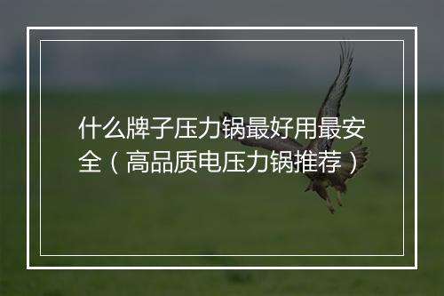 什么牌子压力锅最好用最安全（高品质电压力锅推荐）