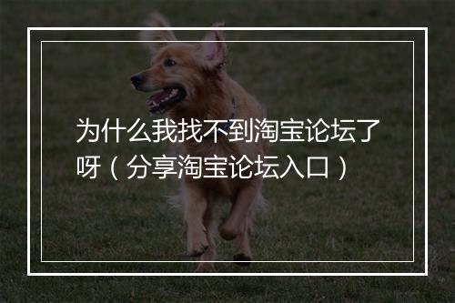 为什么我找不到淘宝论坛了呀（分享淘宝论坛入口）