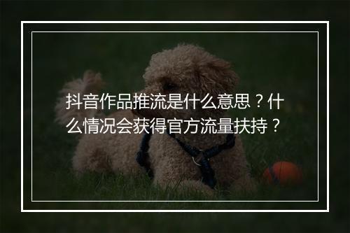 抖音作品推流是什么意思？什么情况会获得官方流量扶持？