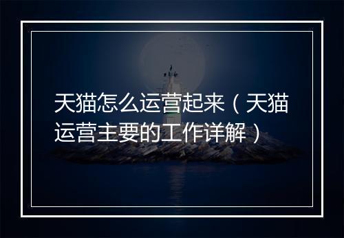 天猫怎么运营起来（天猫运营主要的工作详解）