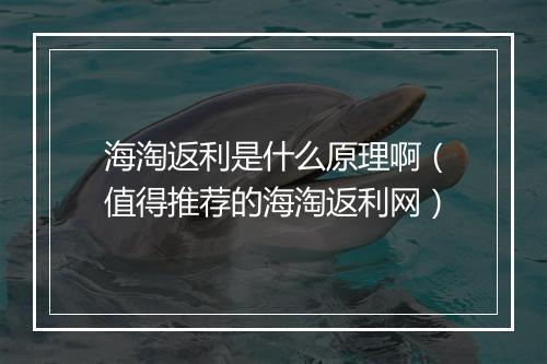 海淘返利是什么原理啊（值得推荐的海淘返利网）