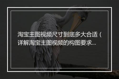 淘宝主图视频尺寸到底多大合适（详解淘宝主图视频的构图要求）
