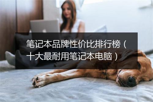 笔记本品牌性价比排行榜（十大最耐用笔记本电脑）