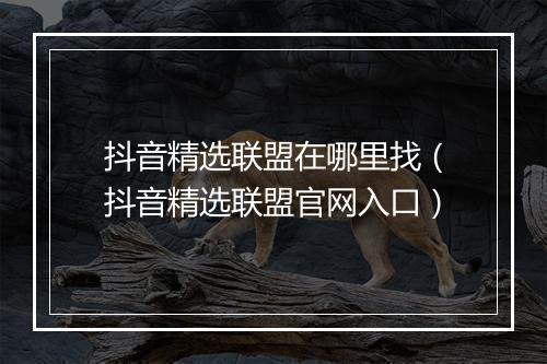 抖音精选联盟在哪里找（抖音精选联盟官网入口）
