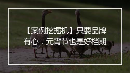 【案例挖掘机】只要品牌有心，元宵节也是好档期