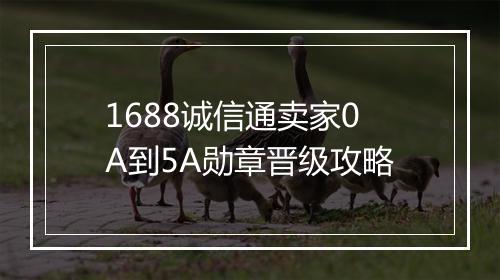1688诚信通卖家0A到5A勋章晋级攻略