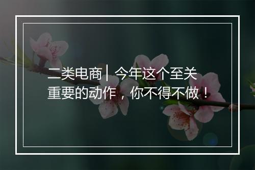 二类电商 ▏今年这个至关重要的动作，你不得不做！