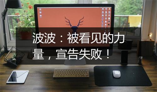 波波：被看见的力量，宣告失败！