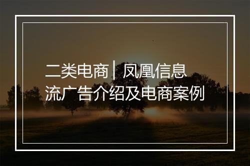 二类电商 ▏凤凰信息流广告介绍及电商案例