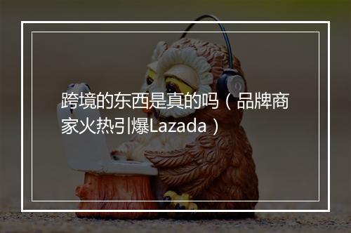 跨境的东西是真的吗（品牌商家火热引爆Lazada）