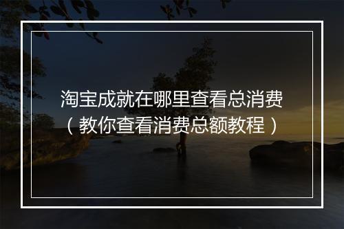 淘宝成就在哪里查看总消费（教你查看消费总额教程）