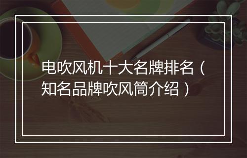 电吹风机十大名牌排名（知名品牌吹风筒介绍）