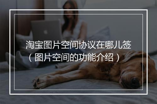淘宝图片空间协议在哪儿签（图片空间的功能介绍）