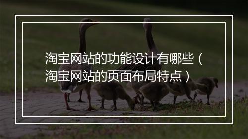 淘宝网站的功能设计有哪些（淘宝网站的页面布局特点）