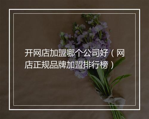 开网店加盟哪个公司好（网店正规品牌加盟排行榜）
