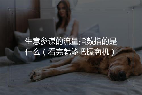 生意参谋的流量指数指的是什么（看完就能把握商机）