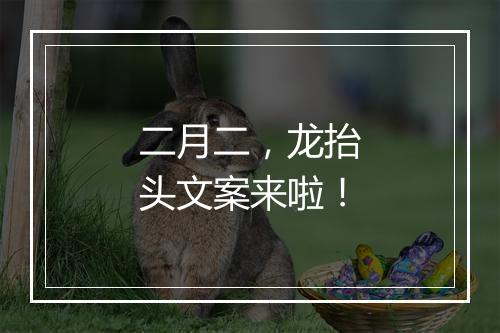 二月二，龙抬头文案来啦！