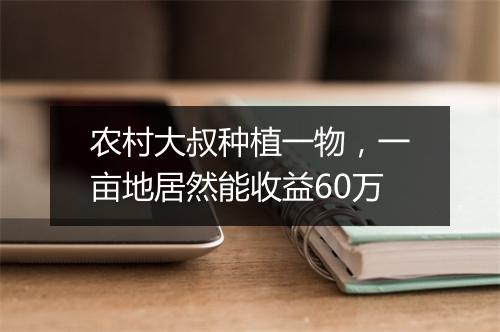 农村大叔种植一物，一亩地居然能收益60万