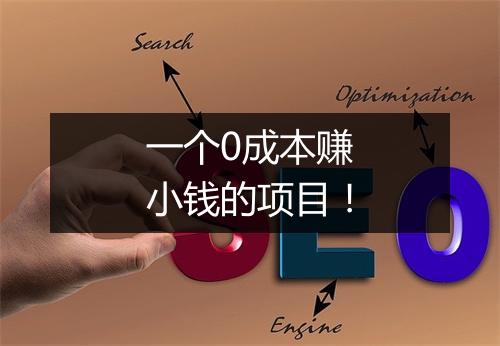 一个0成本赚小钱的项目！
