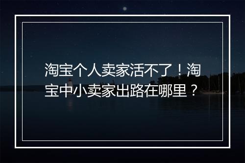 淘宝个人卖家活不了！淘宝中小卖家出路在哪里？