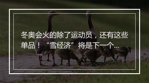 冬奥会火的除了运动员，还有这些单品！“雪经济”将是下一个风口！