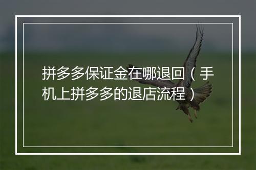 拼多多保证金在哪退回（手机上拼多多的退店流程）