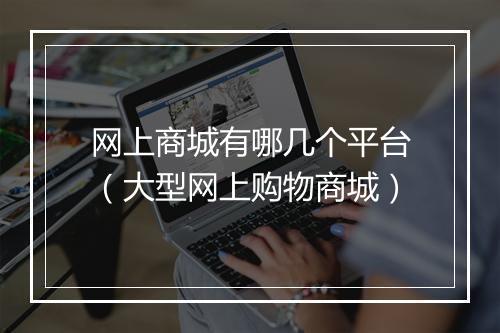 网上商城有哪几个平台（大型网上购物商城）