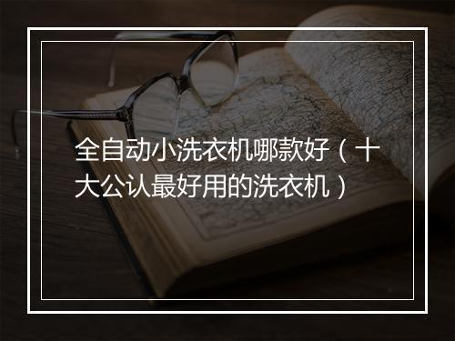 全自动小洗衣机哪款好（十大公认最好用的洗衣机）
